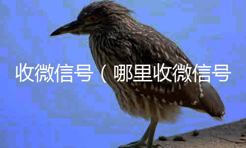收微信号回收微信号（哪里收微信号）